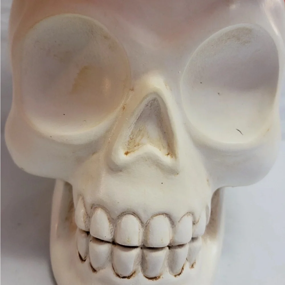 2022 Hyde Eek White Skull Succulent Plant Flower Ghoulish Garden Halloween